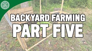 Backyard Farming - Part Five