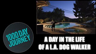1000 Day Journey 0023 Day in the Life of a L.A. Dog Walker