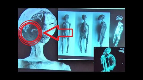 Pentagon Spy Questioned About Alien Bodies