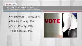 Voter turnout across the Tampa Bay area for 2022 primary election