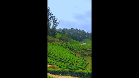 📍Meghamalai🌿