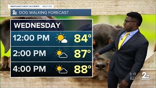 WMAR-2 News Patrick Pete's Tuesday weather