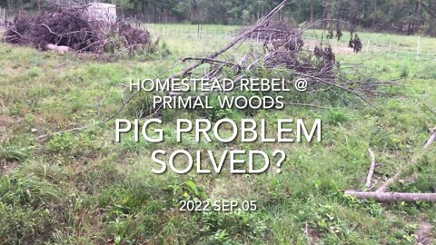 2022 Sep 05 Pig Problem Solved?!