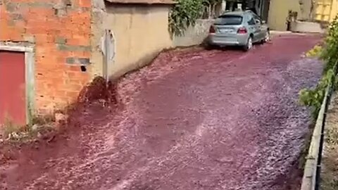 Red wine floods the streets of small Portuguese town