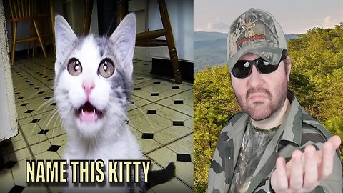 Talking Kitty Cat 46 - Random Needs A Name - Reaction! (BBT)