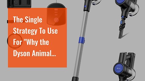 The Single Strategy To Use For "Why the Dyson Animal Filter is a Must-Have for Pet Owners"