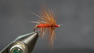 Palmered Soldier - from Mary Orvis Marbury’s Favorite Flies