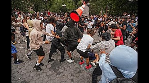 Police Shove a NYC Rioter's Stupid Face Through a Car Windshield 8-8-23 Salty Cracker