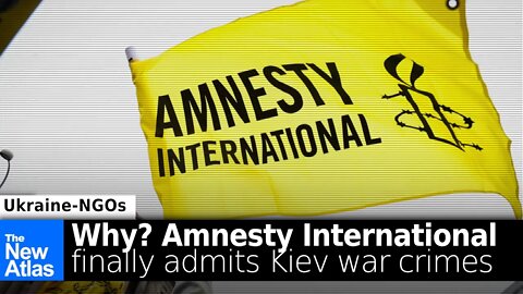Why is Amnesty International FINALLY Reporting on Kiev's War Crimes Months Later?