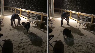 Pup's First Time In The Snow Will Melt Your Heart