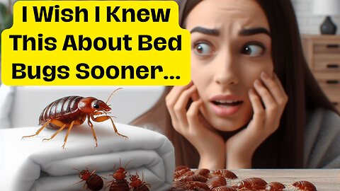 What Causes Bed Bugs?