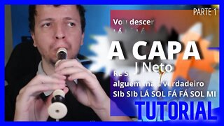 A CAPA - J NETO - FLAUTA DOCE Tutorial com notas