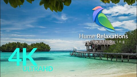 FunkFunk Time • How To Funk on Remote Beautiful Beach • Official Soundtrack by Hume