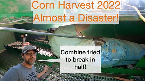 Corn Harvest 2022: Almost a Disaster!