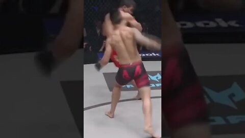 Most Brutal MMA Video You'll Ever See | Savage Highlights & Knockouts #short #mma
