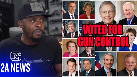14 Senate Republicans Agreed To Gun Control That We Need To Stop