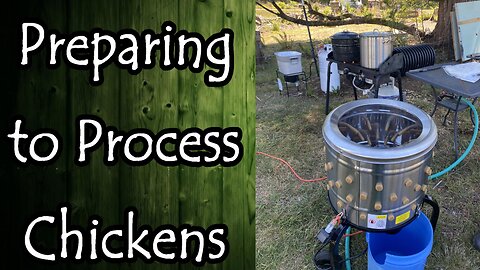 Preparing to Process Chickens: Making a Restraining Cone