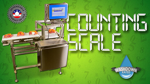 Dynamic In Motion Counting Conveyor Scale for Tabulating the Number of Products