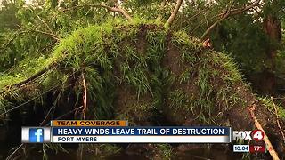 Heavy winds leave trail of destruction, rain leaves yards flooded