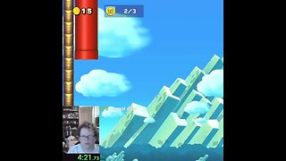 NSMB ds mid castle clip