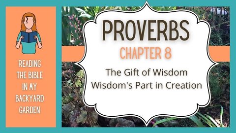 Proverbs Chapter 8 | NRSV Bible