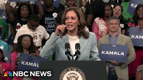 What VP Harris’ track record on immigration reveals about her performance on border issues | NE