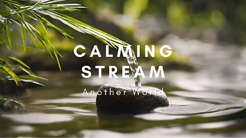 Calming Stream | Tranquil trickling water for relaxation