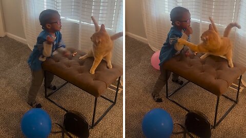 Toddler finds out the hard way that taking the cat's toy is a big no-no