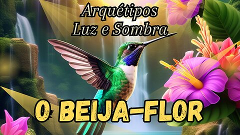 Beija-Flor, Arquétipos Luz e Sombra