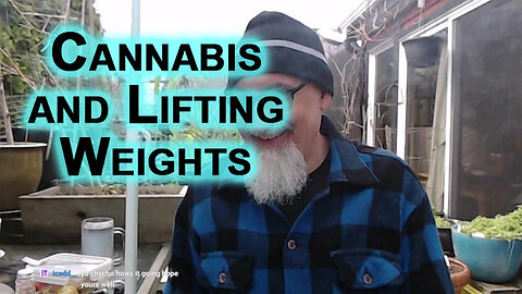 Cannabis and Weightlifting: Body Building & Working Out in the Gym