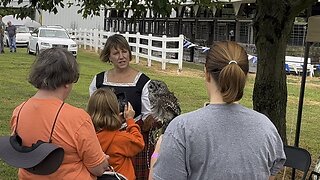 Owl at The Scottish Festival #owl #scottish #festival #familyfun