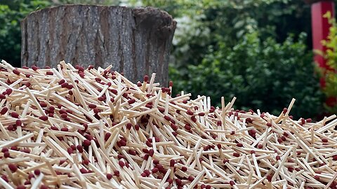 The Amazing Art of Matchsticks Manufacturing Behind the Flames