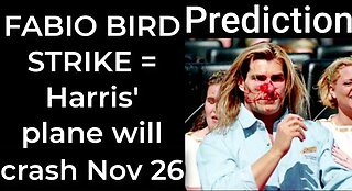 Prediction - FABIO BIRD STRIKE = Harris’ plane will crash Nov 26
