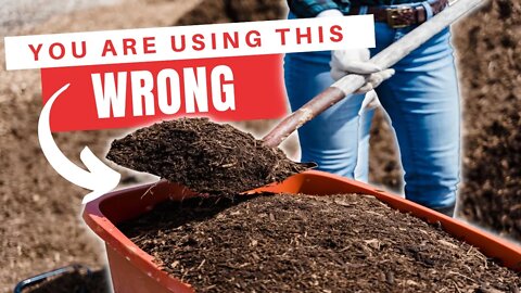 Should You Top Dress Compost Or Incorporate Compost With Soil? Which Option Is Best For Your Garden?