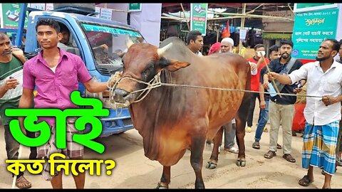 ভাই কত নিলো ২০২২? গাবতলী হাট থেকে গরুর দাম | Gabtoli Gorur Haat | Cow Price in Bangladesh