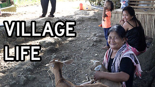 Philippines Village Sunday Morning - Hot Coffee and Baby Goats
