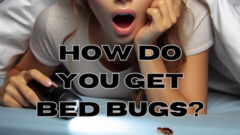 How Do You Get Bed Bugs?