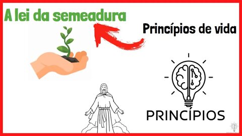 A LEI DA SEMEADURA - PRINCÍPIO DE JESUS #04