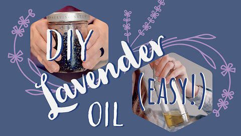 How to Make Lavender Infused Oil (Easy!)