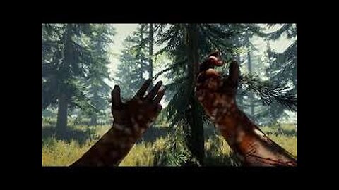 The Forest (Pc Game)