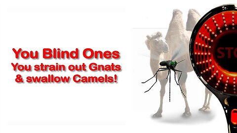 You blind Leaders... You strain out Gnats and swallow Camels ❤️ Jesus explains Matthew 23:24