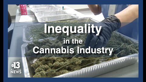 Inequality in Nevada's cannabis industry