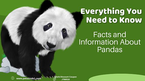 Did you know facts about pandas? #pets_birds