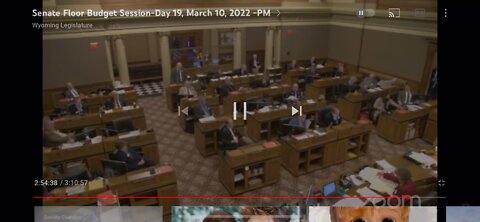 Wyoming Senate Removes Senator Bouchard From His Committees