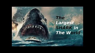 Surviving the Black Demon: Family's Thrilling Shark Tower Escape | Film Scene