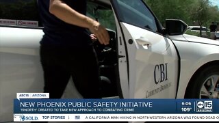 New Phoenix public safety initiative