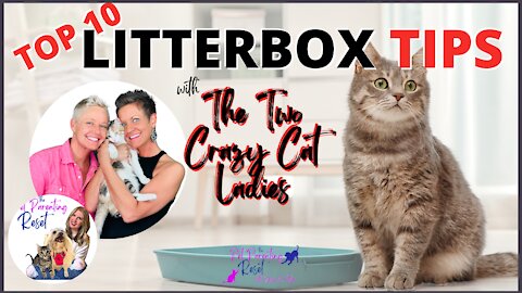 THE BEST 10 Tips & Tricks For Your Cat's Litter Box w The Two Crazy Cat Ladies | Pet Parenting Reset