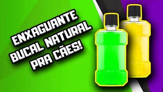 Enxaguante Bucal Natural para Cães | Dr. Edgard Gomes | Alimentação natural para Cães