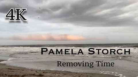 Pamela Storch - Removing Time (Official 4K Video)