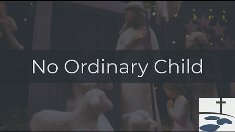 No Ordinary Child